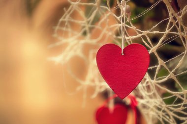 Kırmızı güzel güller