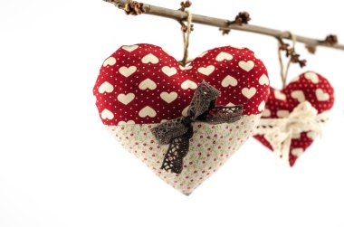 Kahverengi ve beyaz yay dalı beyaz arka planda, Sevgililer günü kavramı ile iki kırmızı kalp