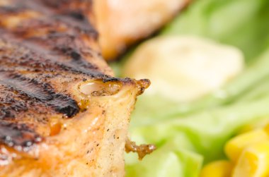 Izgara somon çanak yakın çekim Mısır ve sos ile