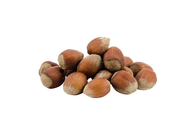 Group of hazelnuts close up isolated on white — Stock fotografie