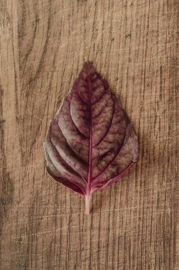Red basil fresh leaves on wooden background