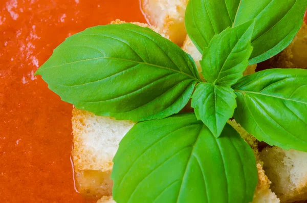 Gazpacho tradicional de sopa de tomate frío español con albahaca y croutons sobre mesa de madera — Foto de Stock