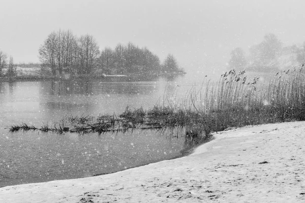 Natura in bianco e nero — Foto Stock