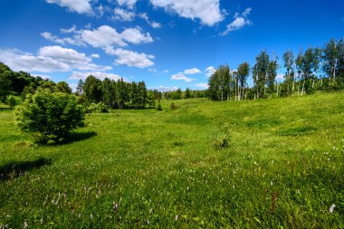 Tepeler yeşil çim ile