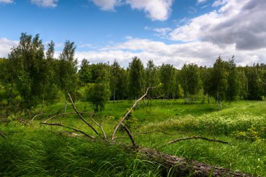 Tepeler yeşil çim ile
