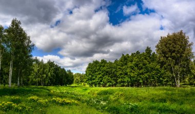 Tepeler yeşil çim ile