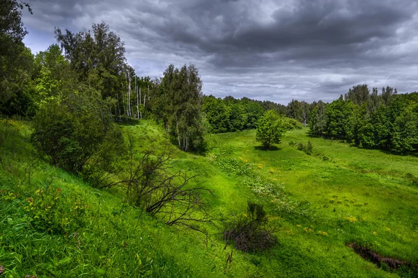 As colinas com grama verde — Fotografia de Stock