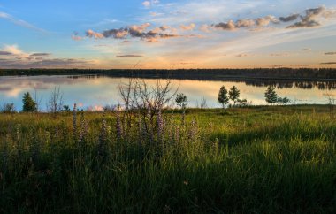 Tepeler yeşil çim ile
