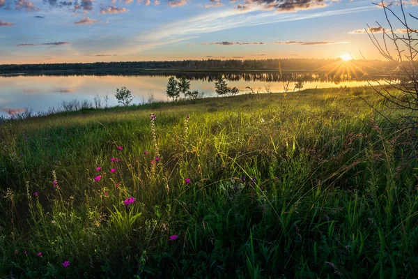 Vrchy se zelenou trávou — Stock fotografie