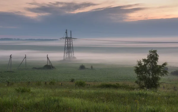 Naturaleza Rusia en el verano — Foto de Stock