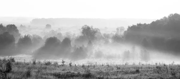 Natur Russland im Sommer — Stockfoto