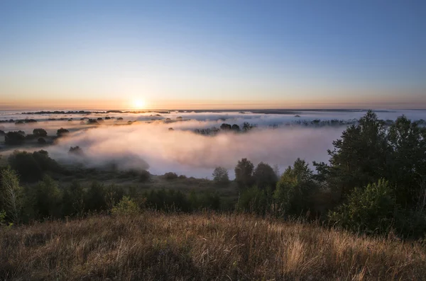 Natur Ryssland sommaren — Stockfoto