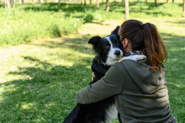 Собака Обіймає Жінку Парку — стокове фото