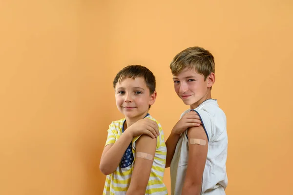 两个孩子用创可贴展示胳膊的肖像 疫苗概念 图库图片