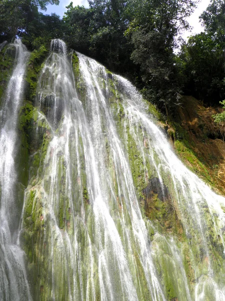 Republika Dominikańska wodospad El limon — Zdjęcie stockowe