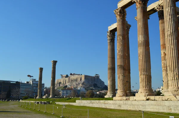 Kuşlar, Akropol ve zeus Tapınağı Atina — Stok fotoğraf