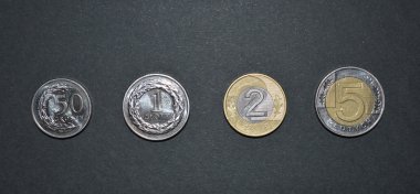Zlotisi para Lehçe para pln para birimi