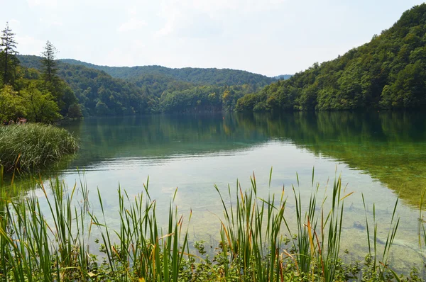 Plitvice parco lago — Foto Stock