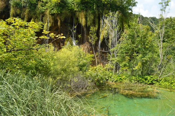 Parque plitvice — Foto de Stock