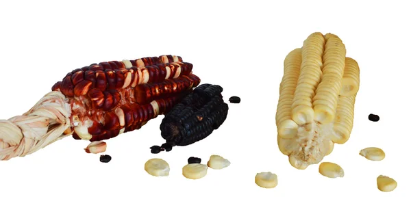 Black red and white corn — Stock Photo, Image