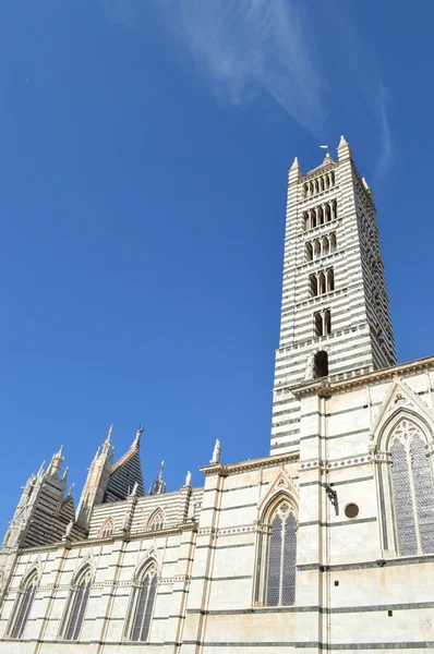 Tower and cathedral of Siena — Stock Photo, Image