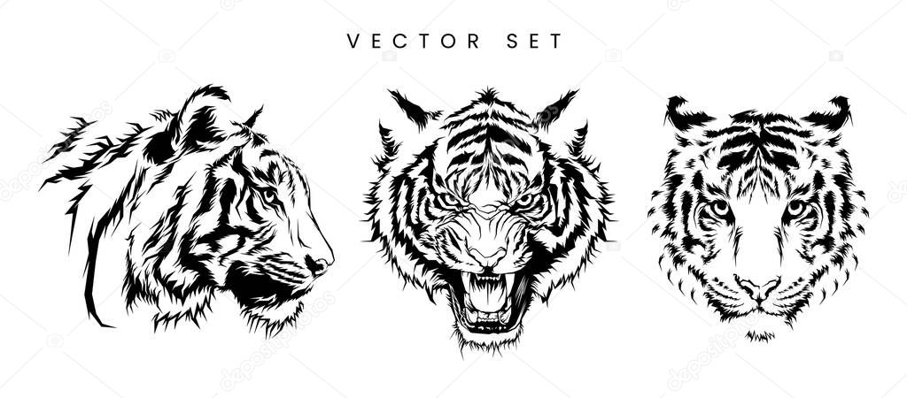 Tiger Head Vector Set Black And White Illustration