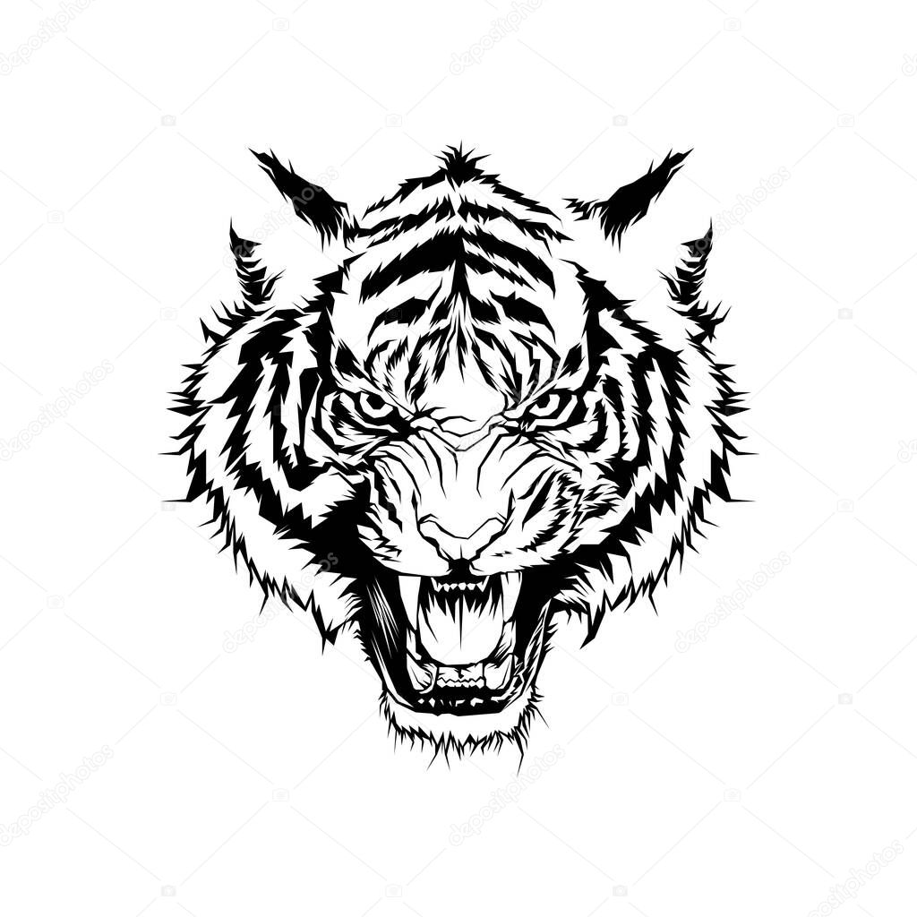 Tiger head vector illustration. Hand draw animals head design