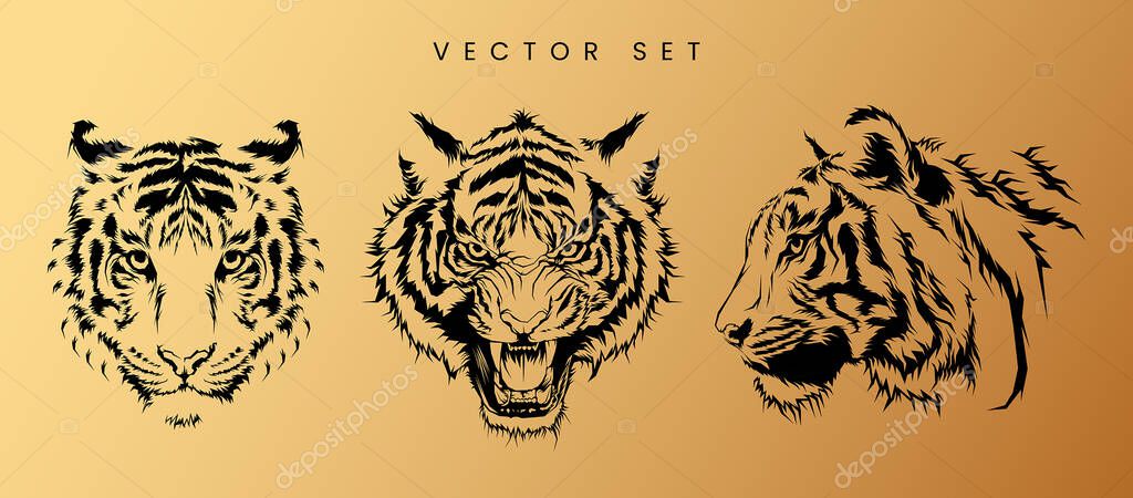 Golden Tiger Head Vector Set Illustration