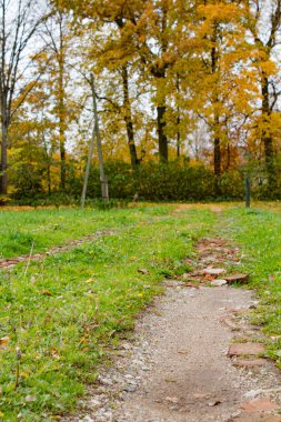 Kırsal alanda kırılan tuğlalar ve taşlarla dolu bir yol. Ağaçların arka planında sarı yapraklar ve yeşil çalılar var.