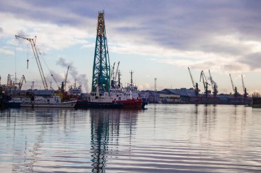Kaliningrad şehrindeki bir kargo limanında kıyıda pembe tonlarda vinç ve gemiler duruyor.