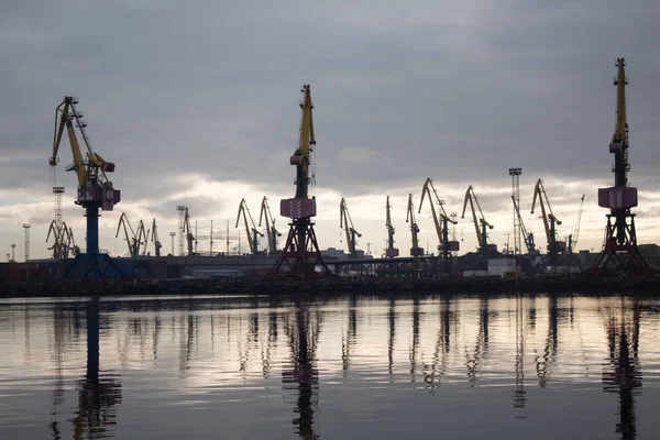 Veel Kranen Dijk Stad Kaliningrad Herfst Vroege Ochtend Donkere Kleuren — Stockfoto