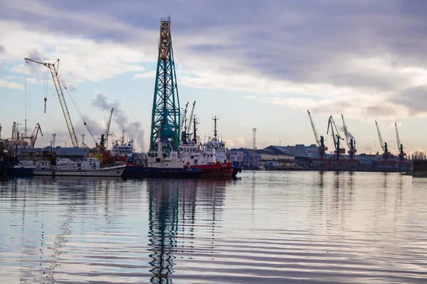 Hijskranen Schepen Staan Roze Tinten Bij Kust Het Water Een — Stockfoto