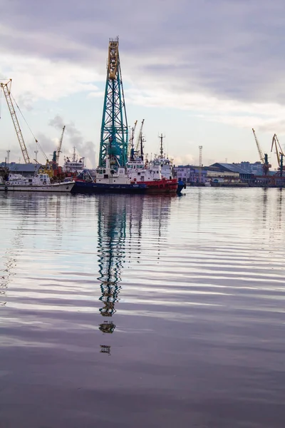 Kranen Schepen Staan Bij Kust Het Water Een Vrachthaven Stad — Stockfoto