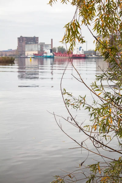 Vrachthaven Stad Kaliningrad Voorgrond Van Het Bladerframe — Stockfoto