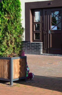 Bir çocuk büyük bir Tui çalısının arkasına saklanır.