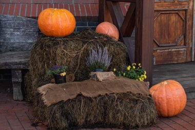 Sokak dizaynındaki samanlarda balkabakları ve çiçekler