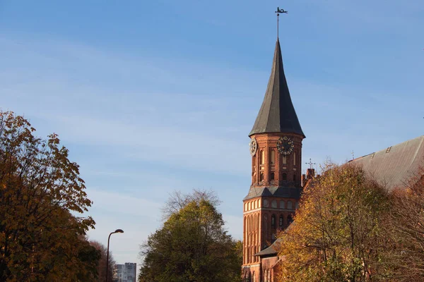 Cathedral in city Kaliningrad on autumn day — Stock Photo, Image