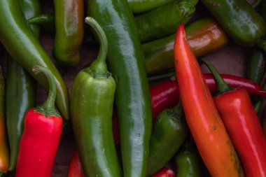 Bir sürü büyük kırmızı ve yeşil biber gün ışığında kapanıyor.