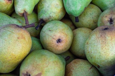 Bir sürü olgun yeşil armut Yukarıdan odaklanıyor