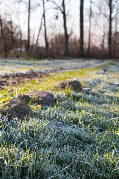 Trilha congelada no chão em um dia gelado iluminação de inverno — Fotografia de Stock