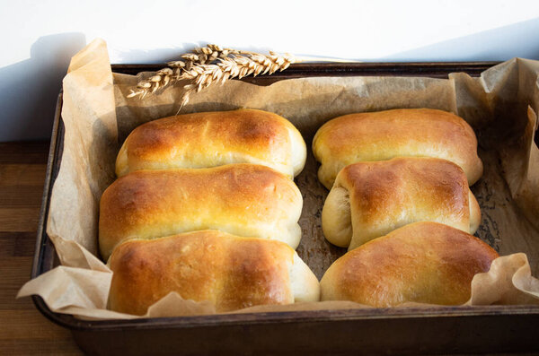 Baked fresh buns in high capacity on parchment paper 