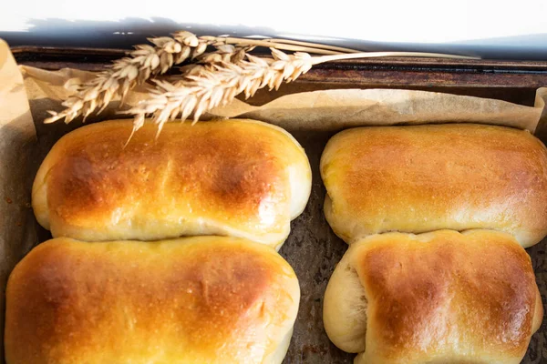 Baked fresh buns in high capacity on parchment paper — Stock Photo, Image