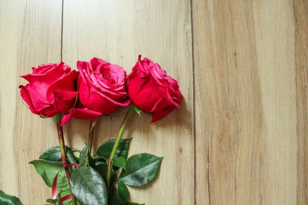 Tři velké karmínové růže na hnědém pozadí — Stock fotografie