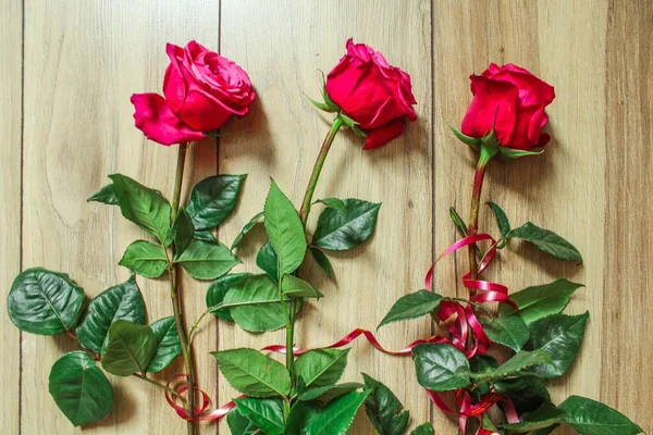 Drei große purpurrote Rosen auf braunem Hintergrund — Stockfoto