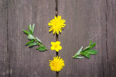 Tahta bir masada üç sarı çiçek yatıyor.
