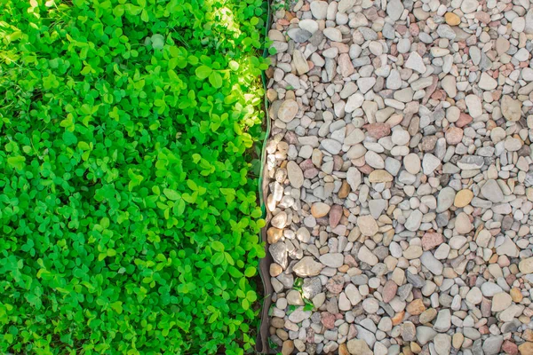 Grön klöver gräsmatta kantad av dränering små stenar — Stockfoto