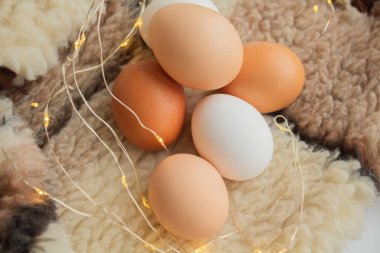 Kürkün arka planına karşı tavuk yumurtası