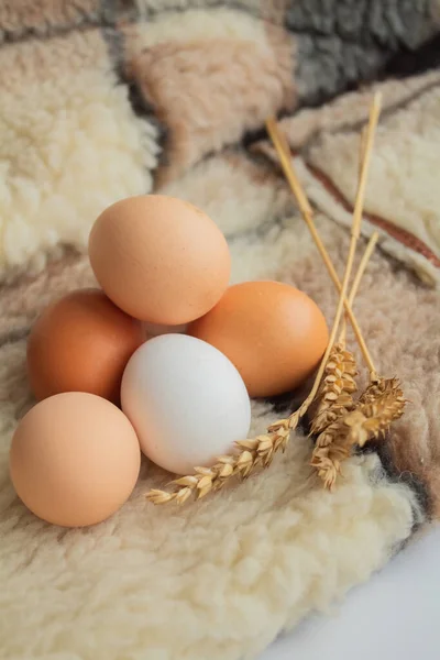 毛皮を背景にした大きな鶏の卵 — ストック写真