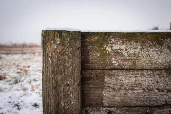 Eine Hölzerne Trennwand Einer Rinderkoppel Auf Dem Land Winter Großaufnahme — Stockfoto