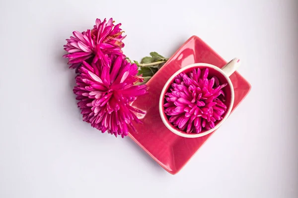 花のストライプ柄のピンクの道具のサービス。 — ストック写真
